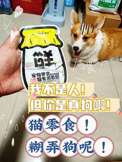 🐶我不是人！但你是真的狗啊！猫零食糊弄狗呢！