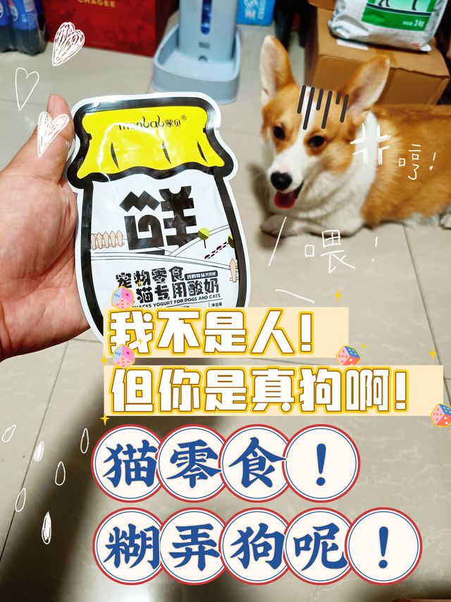 🐶我不是人！但你是真的狗啊！猫零食糊弄狗呢！
