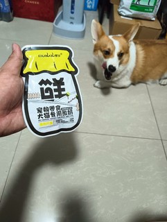 🐶我不是人！但你是真的狗啊！猫零食糊弄狗呢！