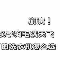 崩溃!换季狗毛满天飞，杀菌除毛絮的洗衣机怎么选