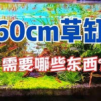 60厘米的鱼缸，想要玩草缸，需要些什么东西？