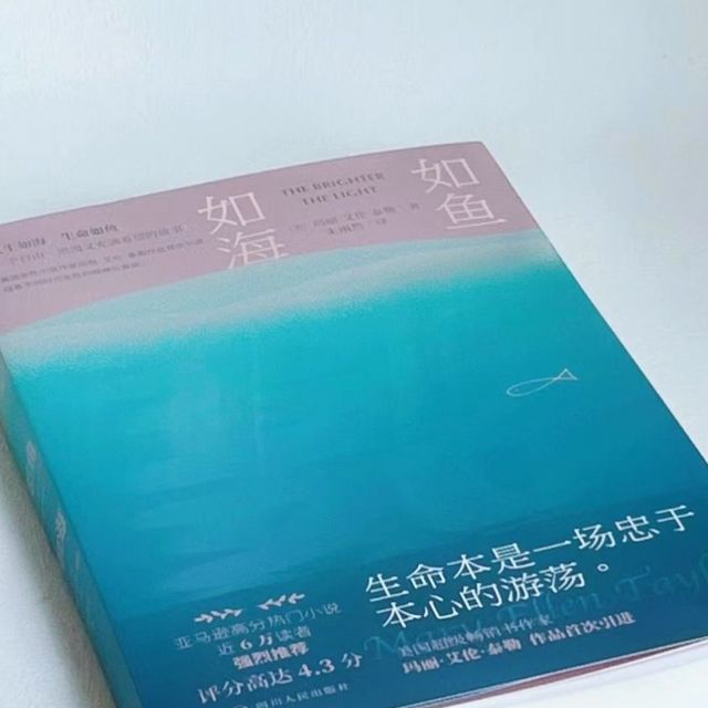 《如鱼如海》：追寻与归属的旅程