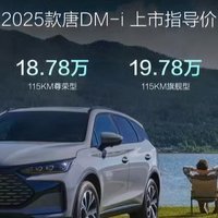 比亚迪2025款唐DM-i上市 起售价17.98万元