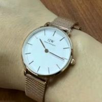 丹尼尔惠灵顿（DanielWellington）DW手表女 简约欧美表钢带石英女士手表生日礼物送女友DW00100219