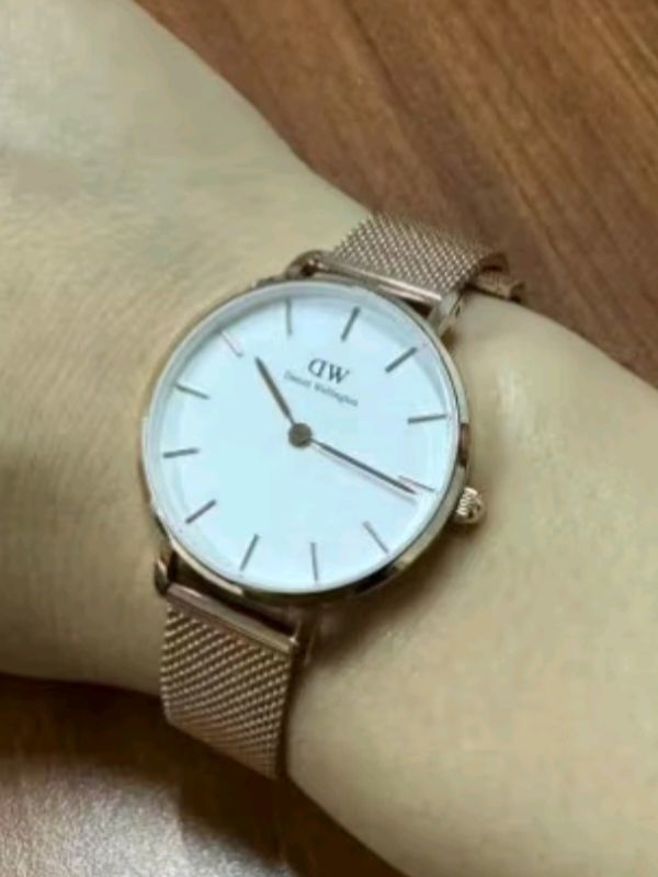 丹尼尔惠灵顿（DanielWellington）DW手表女 简约欧美表钢带石英女士手表生日礼物送女友DW00100219