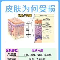 看懂皮肤结构，终于知道为会出现各种皮肤问题了。