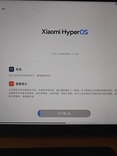 无法自动翻转屏幕的Xiaomi Pad6