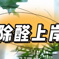 冬天新房装修除甲醛好方法?盘点冬天极速持续除甲醛方法