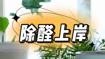 冬天新房装修除甲醛好方法?盘点冬天极速持续除甲醛方法