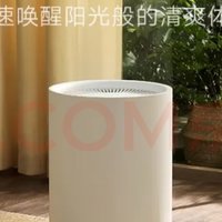 MIJIA 米家 DM-CS13BFA5A 除湿器 白色