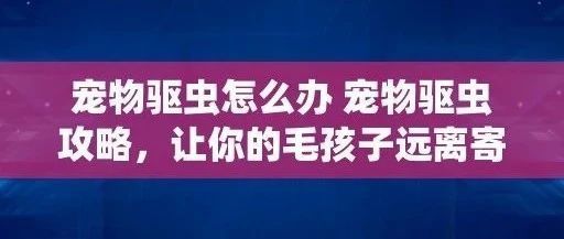 宠物驱虫怎么办 宠物驱虫攻略，让你的毛孩子远离寄生虫困扰
