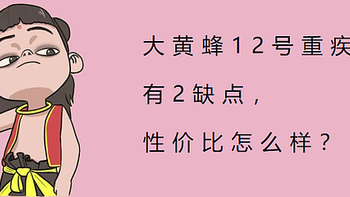 大黄蜂12号重疾险，有2缺点，性价比怎么样？