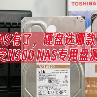 NAS有了，硬盘选哪款？东芝N300 NAS专用盘测评