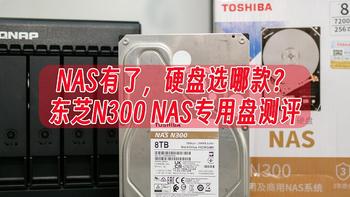 NAS有了，硬盘选哪款？东芝N300 NAS专用盘测评