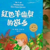 触摸梦想与成长的温暖力量——《红色羊齿草的故乡》浅读