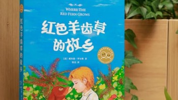 触摸梦想与成长的温暖力量——《红色羊齿草的故乡》浅读