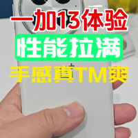 一加13体验：性能拉满，手感真TM爽