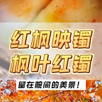 小众，高级的枫叶红翡镯