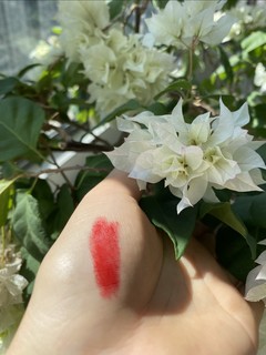 唇炎患者的福星口红💄 迪奥999一生推