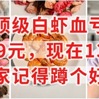 顶级白虾，原价89元，现在13元/斤，记得蹲个好价，这个双11，只有东哥在认真过