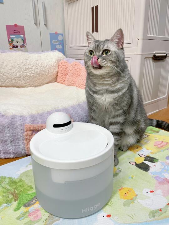 收到618买的Hiigge饮水机，一些大实话