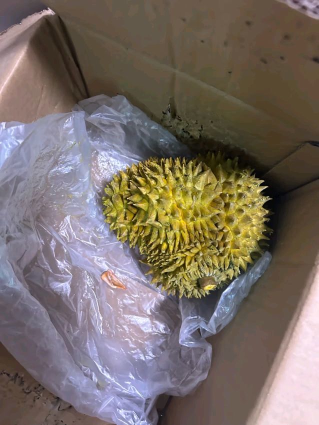 新鲜水果