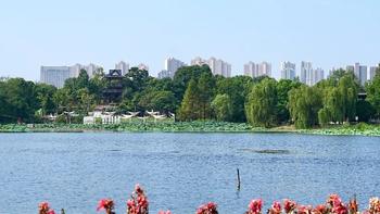 不出武汉，就能环游中国！手把手带你玩转武汉园博园！ 