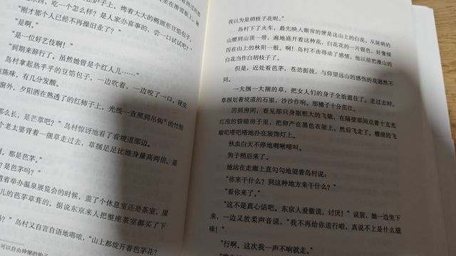 《雪国》读后感：生命是一场美丽的徒劳