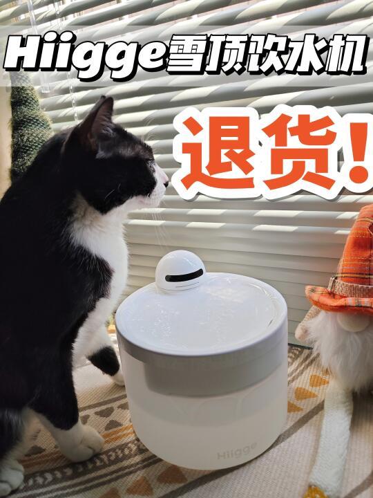 换了Hiigge雪顶，到底要不要退货...