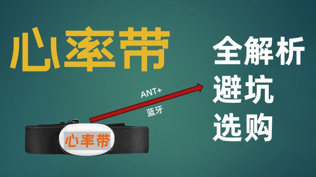 如何选择最适合你的心率监测手环?解析心率监测原理与品牌对比