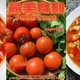 🍅西红柿的营养价值与快手菜推荐