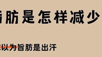 浅谈脂肪是怎样减少的