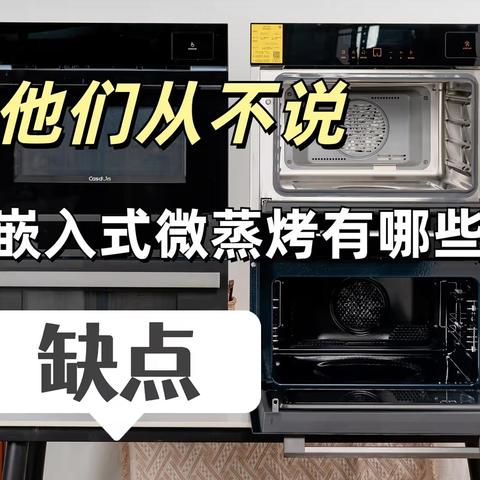 (实拍6000字长文)这些缺点他们从不说!2024年11.11微蒸烤一体机选购指南，带你挑选微蒸烤箱！