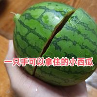 今天让你们吃一个小瓜