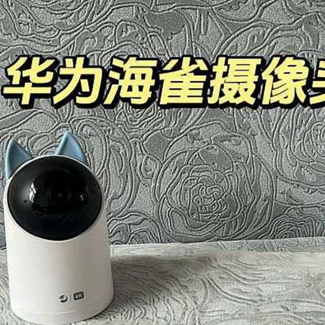 摄像头离线怎么办？家用4K室内摄像头推荐什么品牌？格外推荐高清4K画质——华为海雀摄像头3s 4K