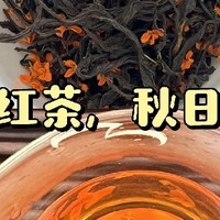 秋日桂花香，品茶好时光 —— 桂花红茶・丹桂小种品鉴