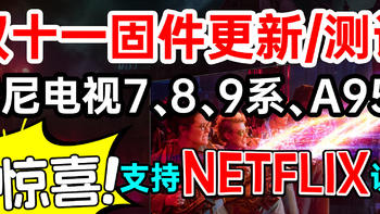 [新固件可看奈飞」新固件测试，索尼电视7系、8系、9系都可看NETFLIX! 固件安装教程，APP安装教程！