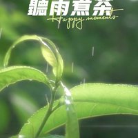 听雨煮茶