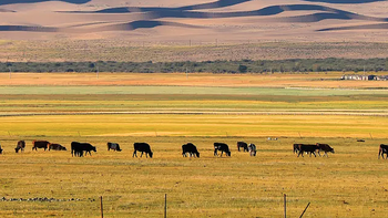 自驾新路线！又一绝美公路通车！穿越的无人区，探访戈壁草原、沙漠雪山，现在来简直美疯了！ 