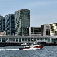 香港一日游精华攻略：从维港到山顶，尽览繁华与自然美景