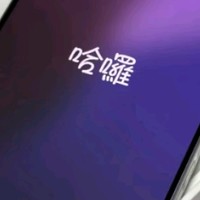 Apple/苹果 iPhone 16 Pro Max（A3297）256GB 沙漠色钛金属 支持移动联通电信5G 双卡双待手机