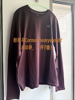 800块一件的T恤，始祖鸟Cormac heavyweight 购入简单分享