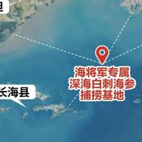 立冬进补，选大连海参品牌海将军白刺海参