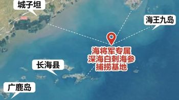 立冬进补，选大连海参品牌海将军白刺海参