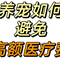 当宠物医药费远超过宠物的价值，你会选择继续救治吗？