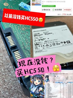 等等党投降🏳️九年前3TB花了我六百，九年后消费降级700拿下二手16TB🫡且看大名鼎鼎HC550能抗几年…