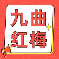 九曲红梅是什么茶？红茶！狮峰、贡牌、西湖牌、天香牌推荐