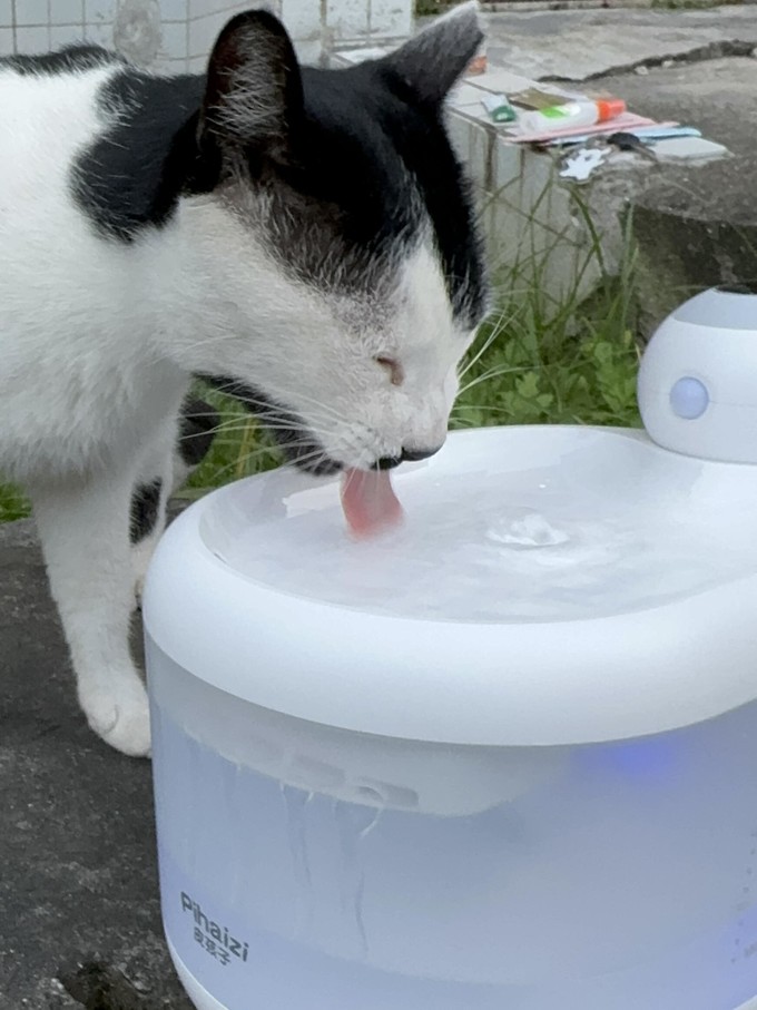 宠物食具水具