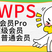 WPS的会员等级玩的真花：大会员、超级会员Pro、超级会员、会员与日俱增。