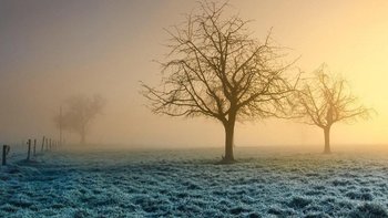 海口生态环境建设与可持续发展策略 